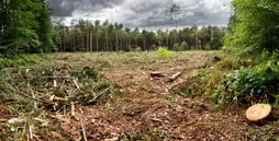 Going paperless and using mobile forms can fight climate change